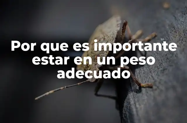 Por que es Importante Estar en un Peso Adecuado