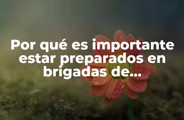 Por Qué es Importante Estar Preparados en Brigadas de Emergencia