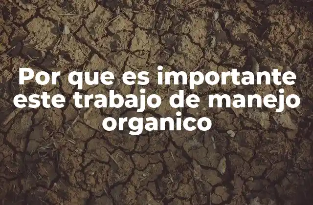 Por que es Importante Este Trabajo de Manejo Organico