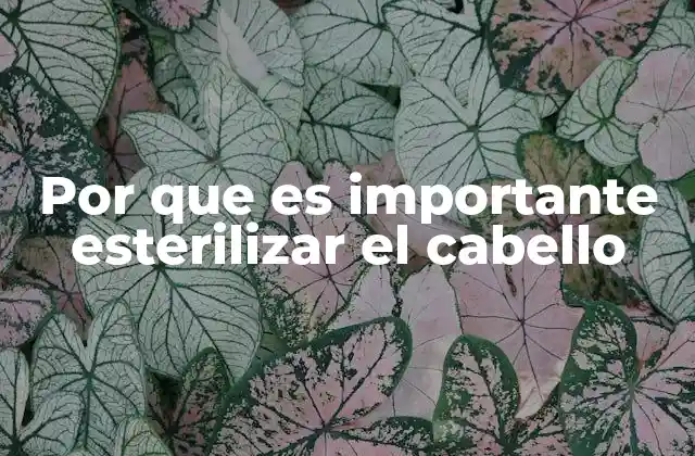 Por que es Importante Esterilizar el Cabello