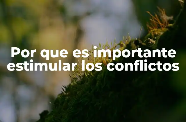 Por que es Importante Estimular los Conflictos