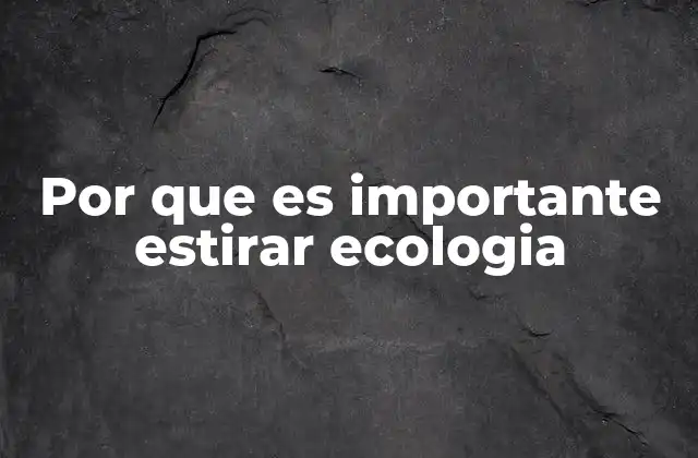 Por que es Importante Estirar Ecologia