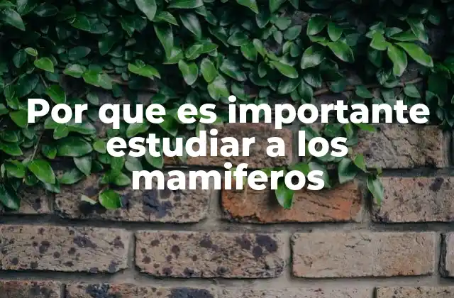 Por que es Importante Estudiar a los Mamiferos