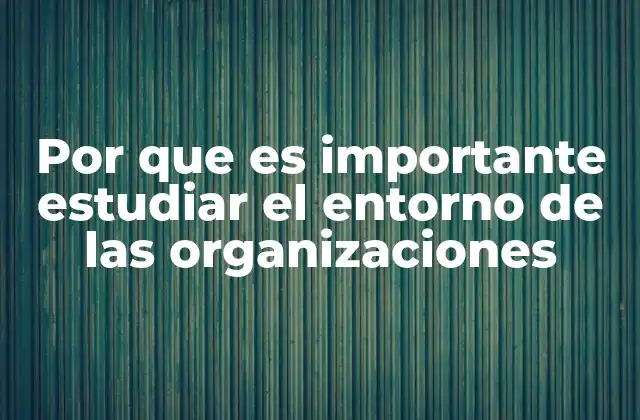 Por que es Importante Estudiar el Entorno de las Organizaciones