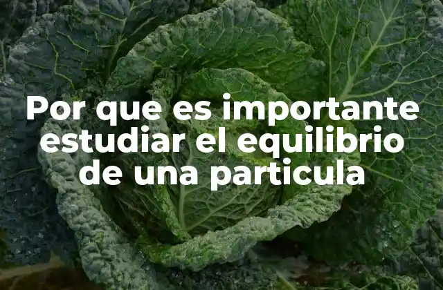 Por que es Importante Estudiar el Equilibrio de una Particula