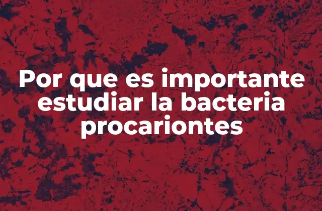 Por que es Importante Estudiar la Bacteria Procariontes