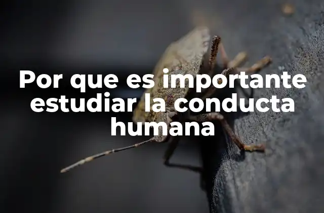 Por que es Importante Estudiar la Conducta Humana