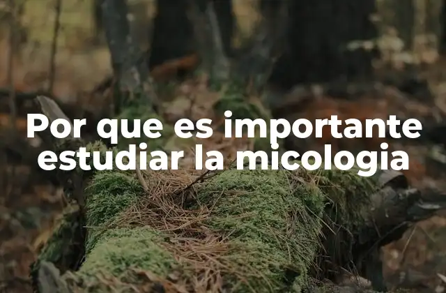 Por que es Importante Estudiar la Micologia