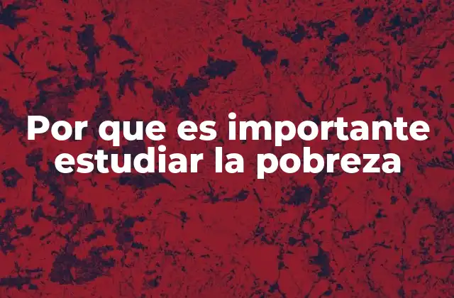 Por que es Importante Estudiar la Pobreza