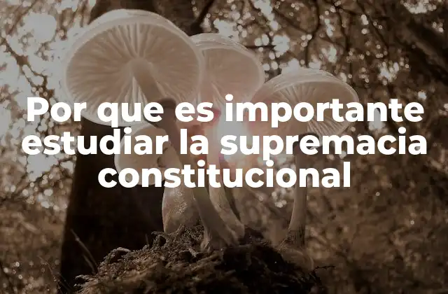 Por que es Importante Estudiar la Supremacia Constitucional