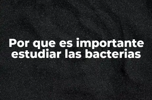 El impacto de las bacterias en la salud humana