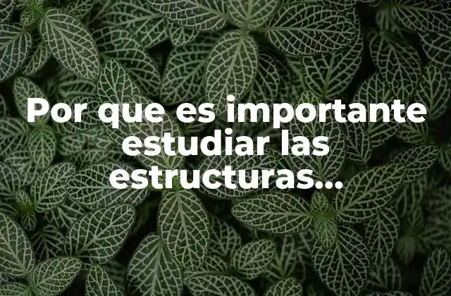 Por que es Importante Estudiar las Estructuras Empresariales