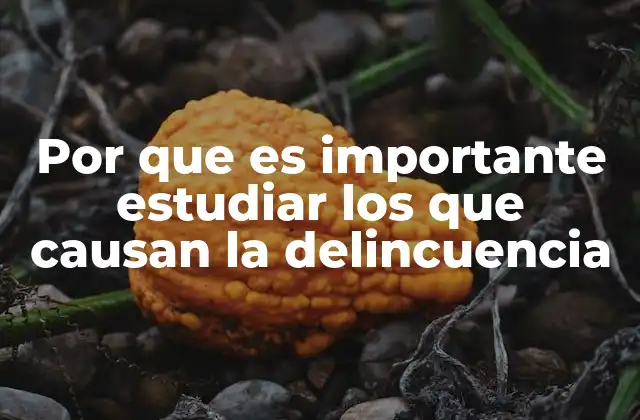 Por que es Importante Estudiar los que Causan la Delincuencia