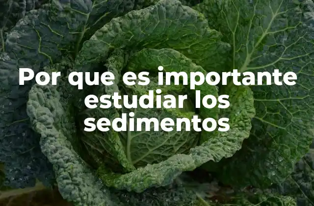 Por que es Importante Estudiar los Sedimentos