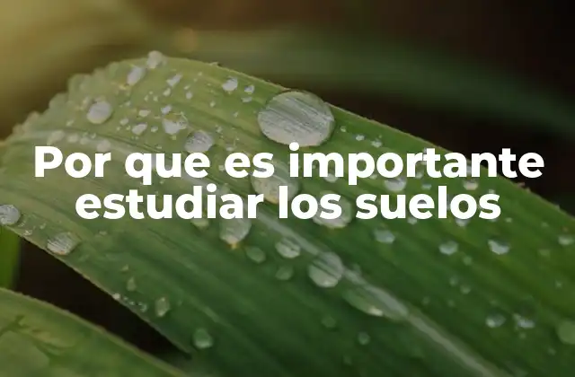 Por que es Importante Estudiar los Suelos