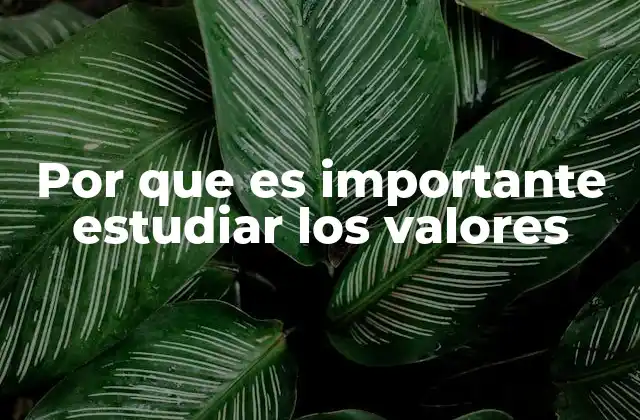 Por que es Importante Estudiar los Valores 2 La base moral de una sociedad saludable