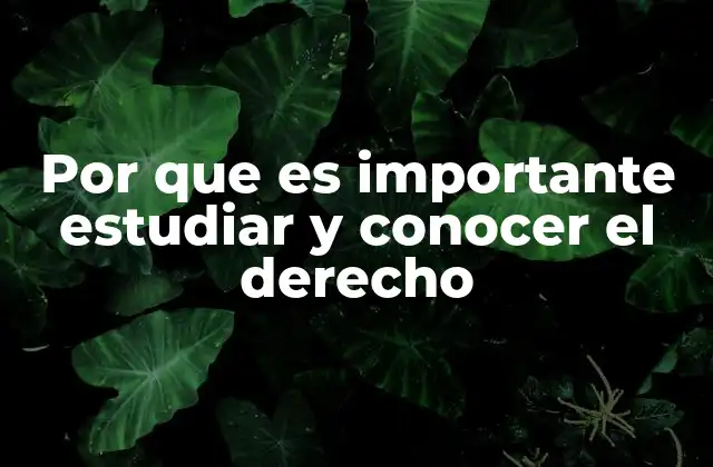 Por que es Importante Estudiar y Conocer el Derecho