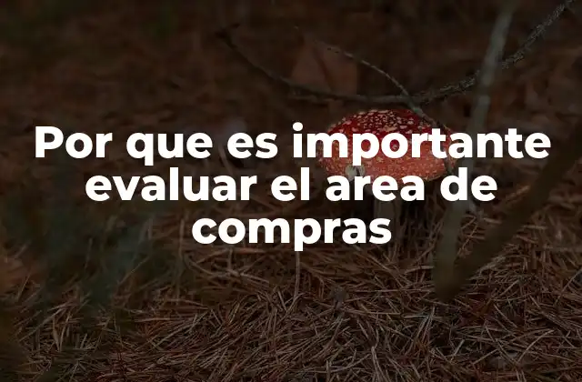 Por que es Importante Evaluar el Area de Compras