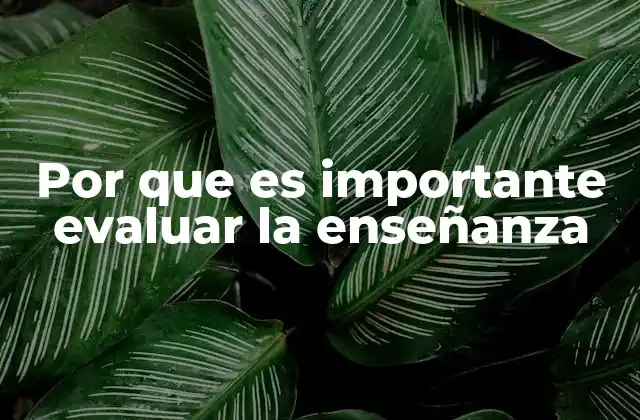 Por que es Importante Evaluar la Enseñanza