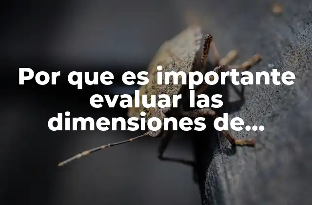 Por que es Importante Evaluar las Dimensiones de Gestion Escolar