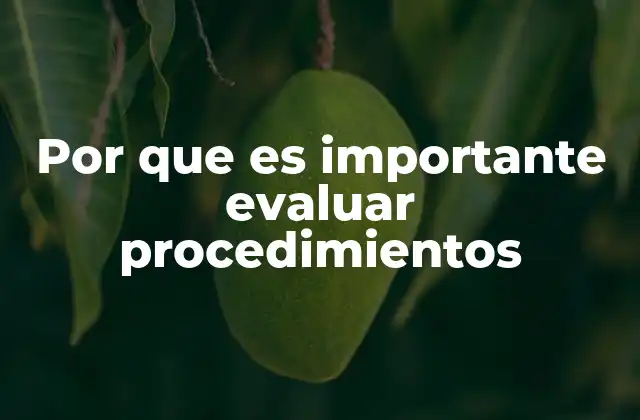Por que es Importante Evaluar Procedimientos