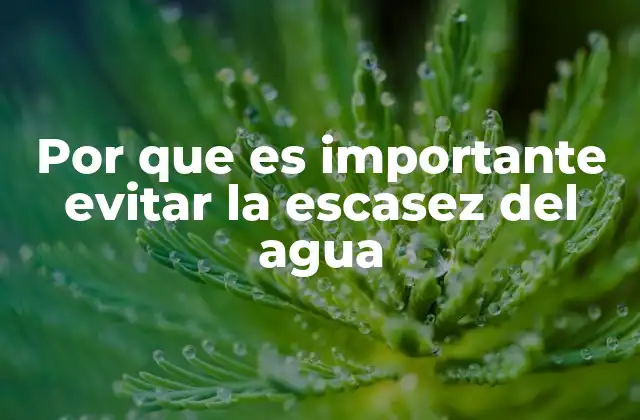Por que es Importante Evitar la Escasez Del Agua