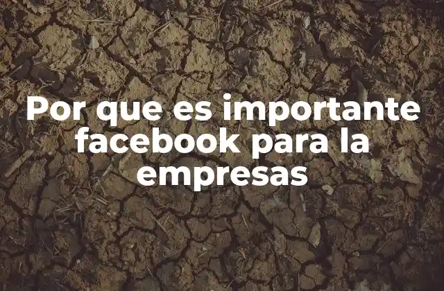 Por que es Importante Facebook para la Empresas
