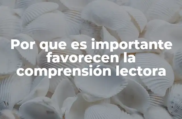 Por que es Importante Favorecen la Comprensión Lectora