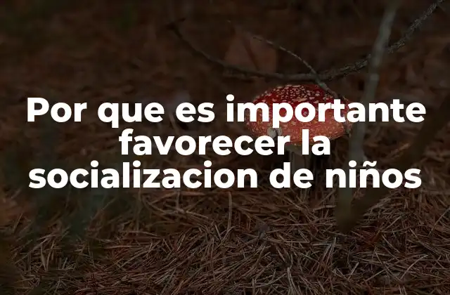 Por que es Importante Favorecer la Socializacion de Niños