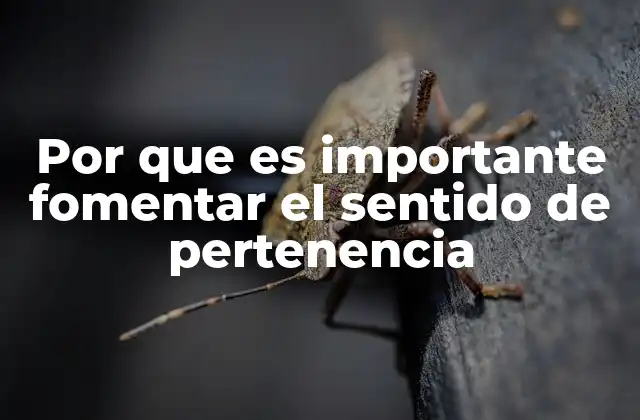 Por que es Importante Fomentar el Sentido de Pertenencia