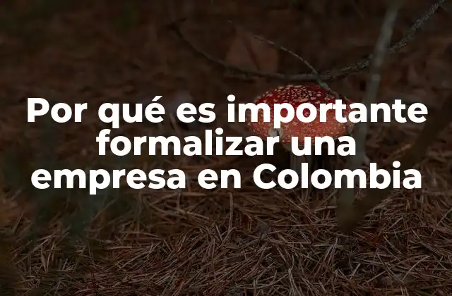 Por Qué es Importante Formalizar una Empresa en Colombia