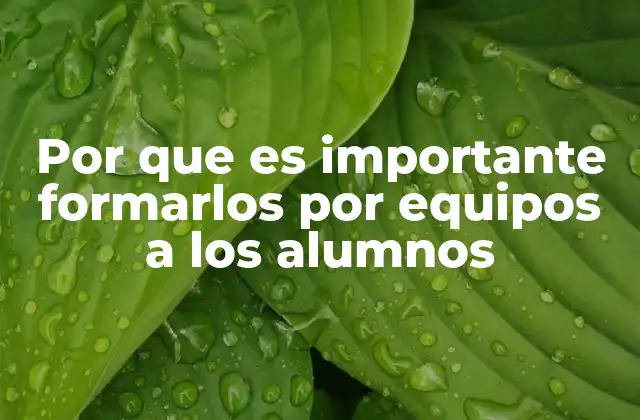 Por que es Importante Formarlos por Equipos a los Alumnos