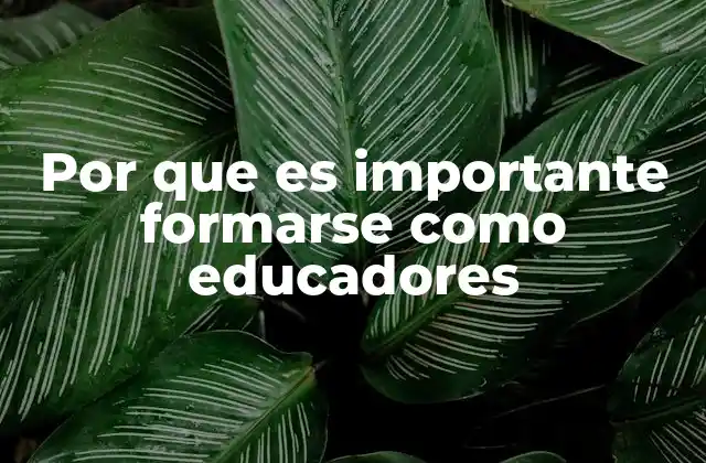 Por que es Importante Formarse como Educadores