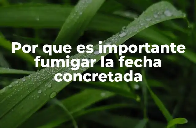 Por que es Importante Fumigar la Fecha Concretada