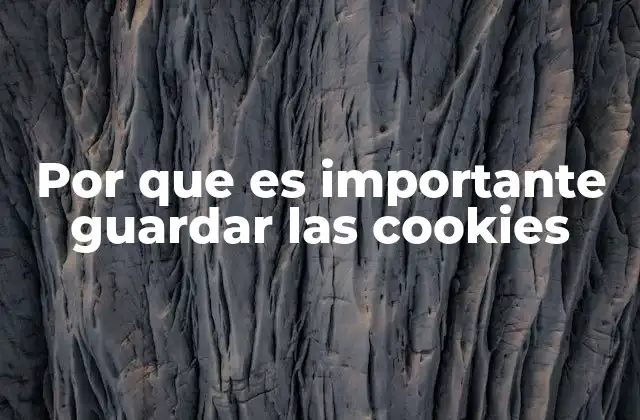 Por que es Importante Guardar las Cookies
