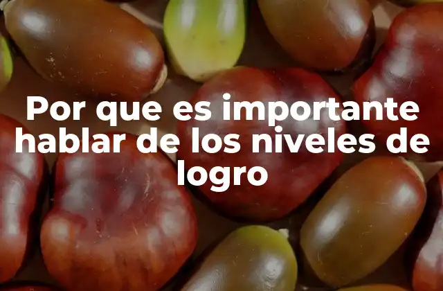 Por que es Importante Hablar de los Niveles de Logro