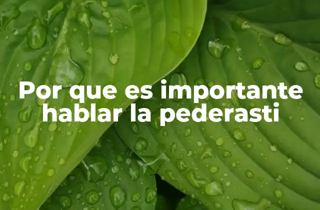 Por que es Importante Hablar la Pederasti