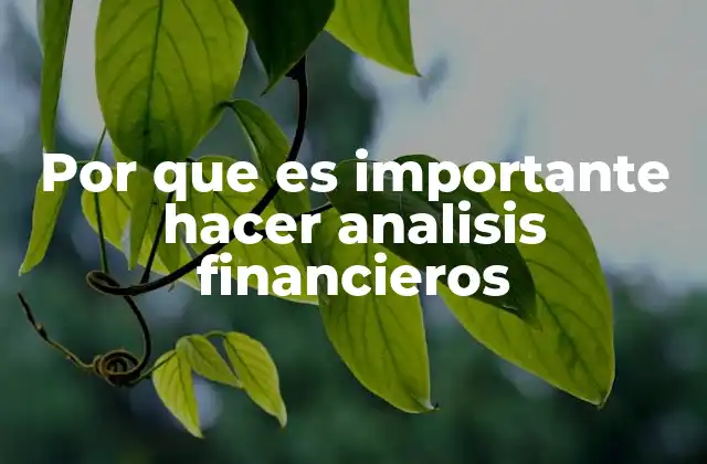Por que es Importante Hacer Analisis Financieros