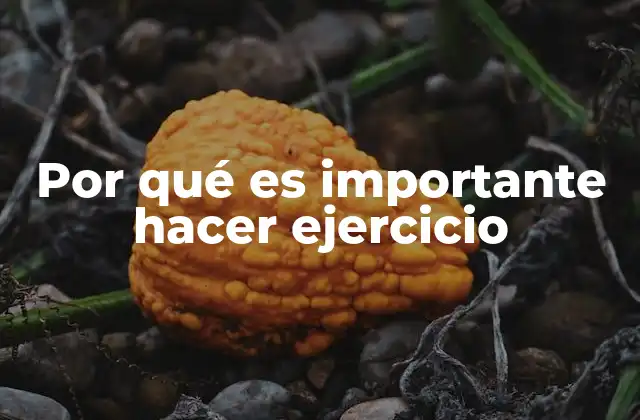 Por Qué es Importante Hacer Ejercicio