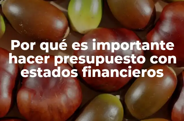 Por Qué es Importante Hacer Presupuesto con Estados Financieros