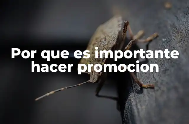 Por que es Importante Hacer Promocion