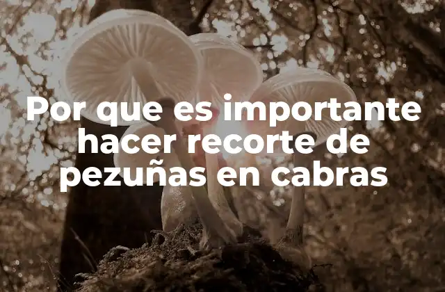 Por que es Importante Hacer Recorte de Pezuñas en Cabras