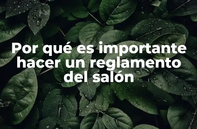 Por Qué es Importante Hacer un Reglamento Del Salón