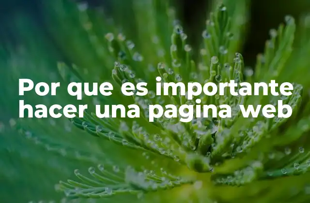 Por que es Importante Hacer una Pagina Web