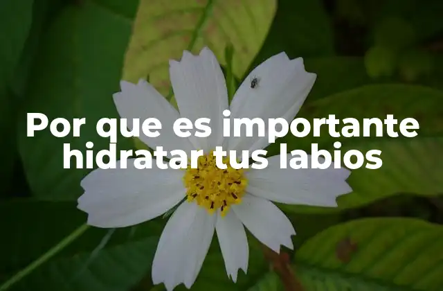 Por que es Importante Hidratar Tus Labios