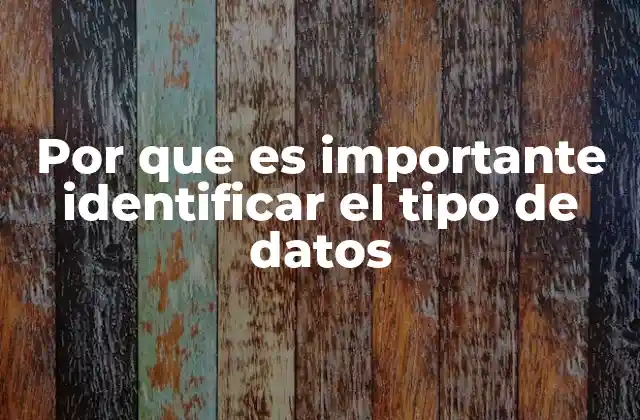 Por que es Importante Identificar el Tipo de Datos