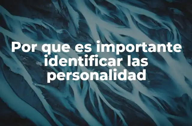 Por que es Importante Identificar las Personalidad