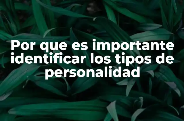 Por que es Importante Identificar los Tipos de Personalidad