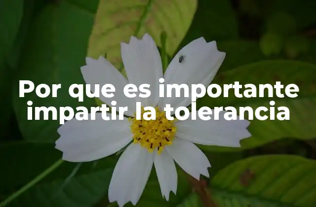 La importancia de la convivencia en la sociedad moderna