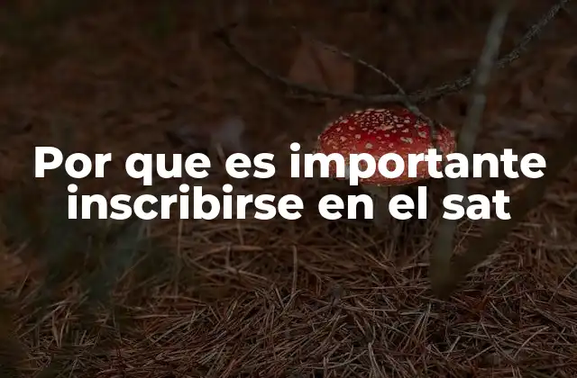 Por que es Importante Inscribirse en el Sat